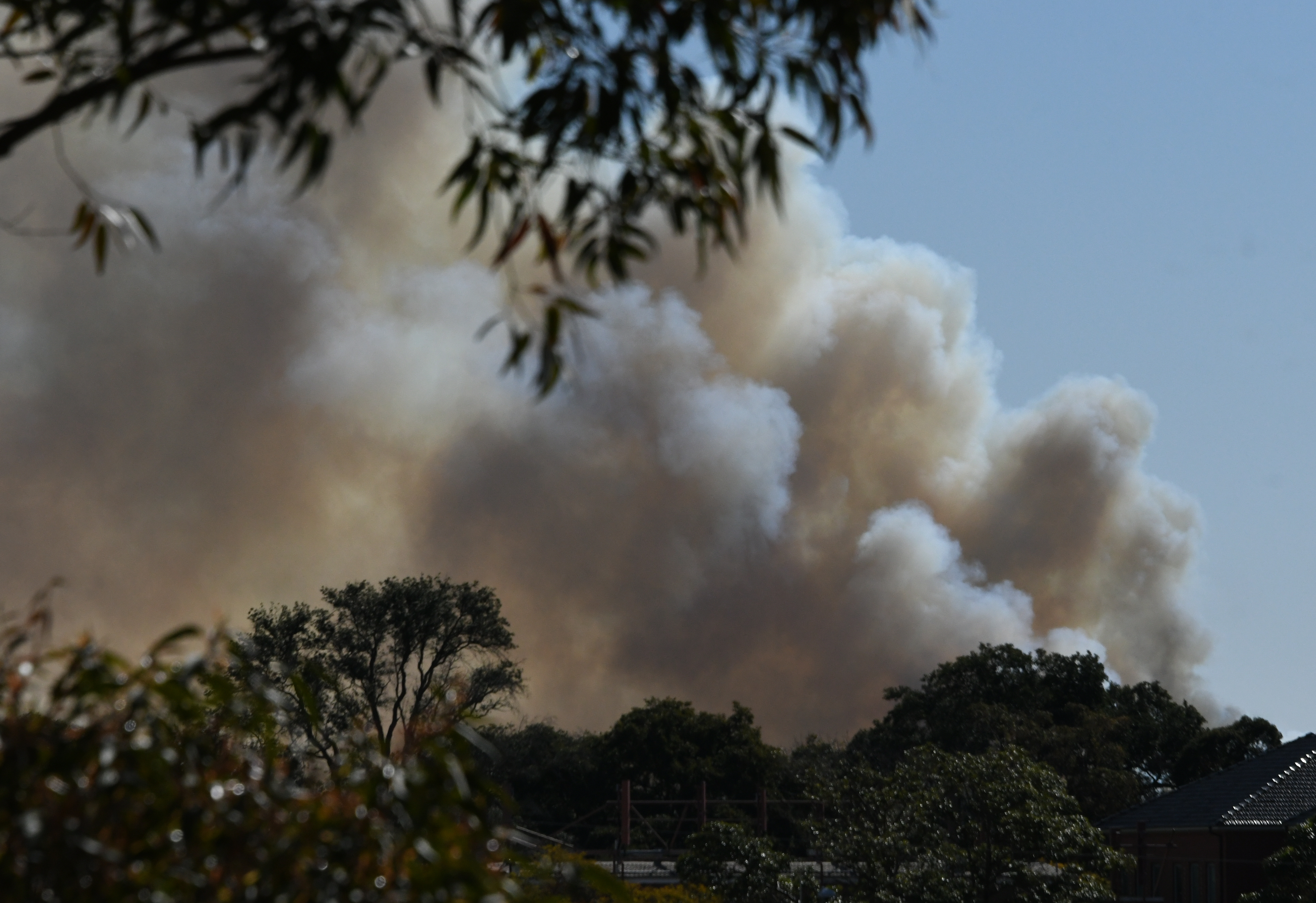 A hazard reduction burn at Hornsby in Sydney's north